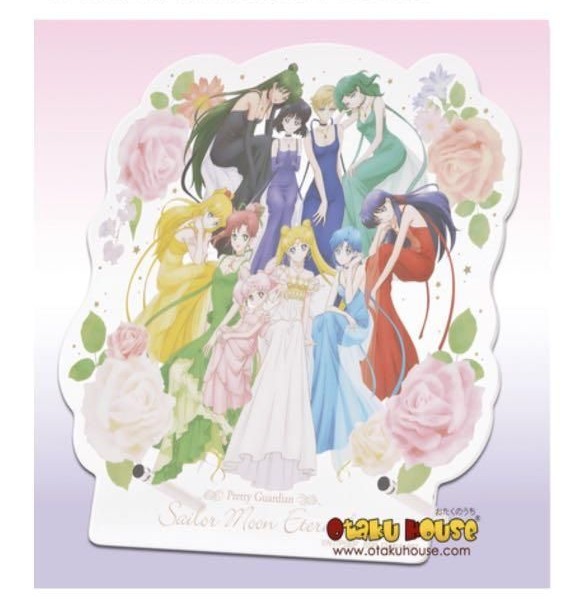 Sailor Moon Pretty Guardian Eternal Princess Collection Large Acrylic Board