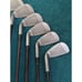 FWP Flow Weighted Power Paragon Iron Set RH Graphite 3-9 Iron + PW Golf Clubs