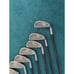 FWP Flow Weighted Power Paragon Iron Set RH Graphite 3-9 Iron + PW Golf Clubs