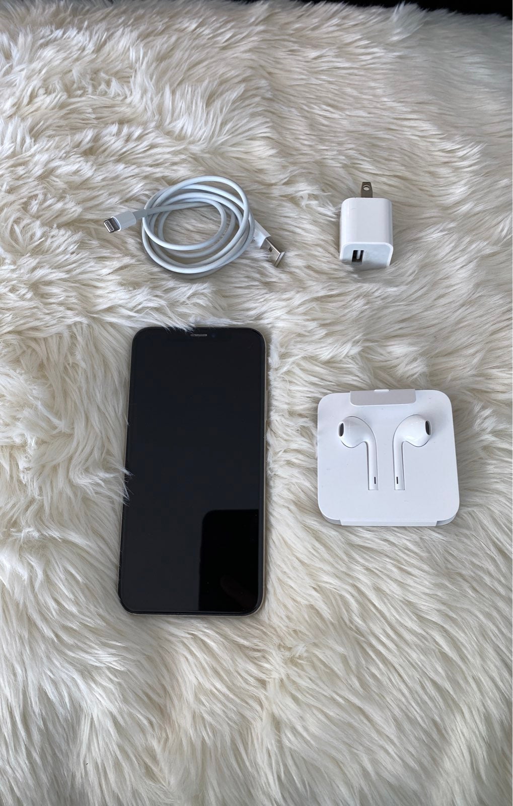 iPhone X Silver 256 gigabytes Unlocked