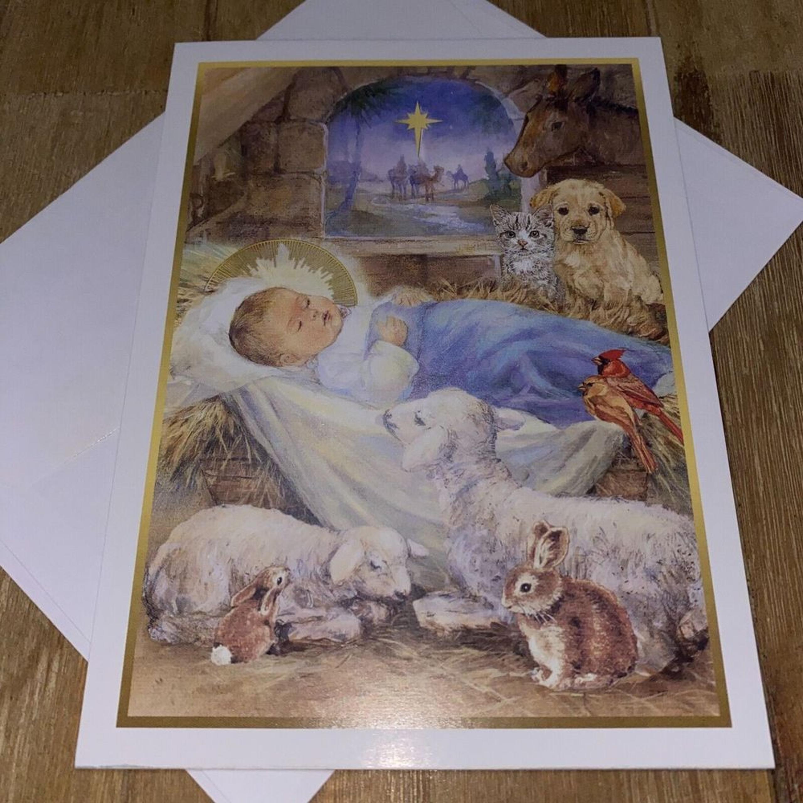Sisters of Francis of Assisi Holy Child and Animal Christmas Greetings Card