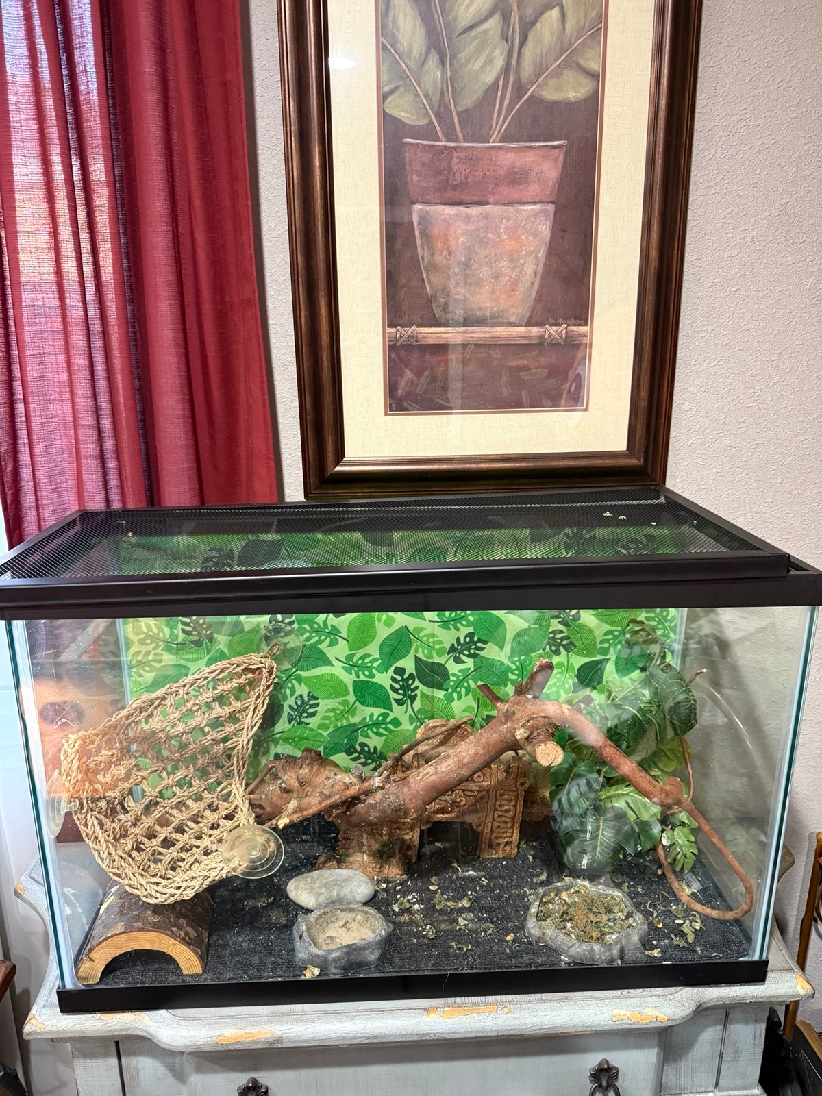 40 gallon/tank
