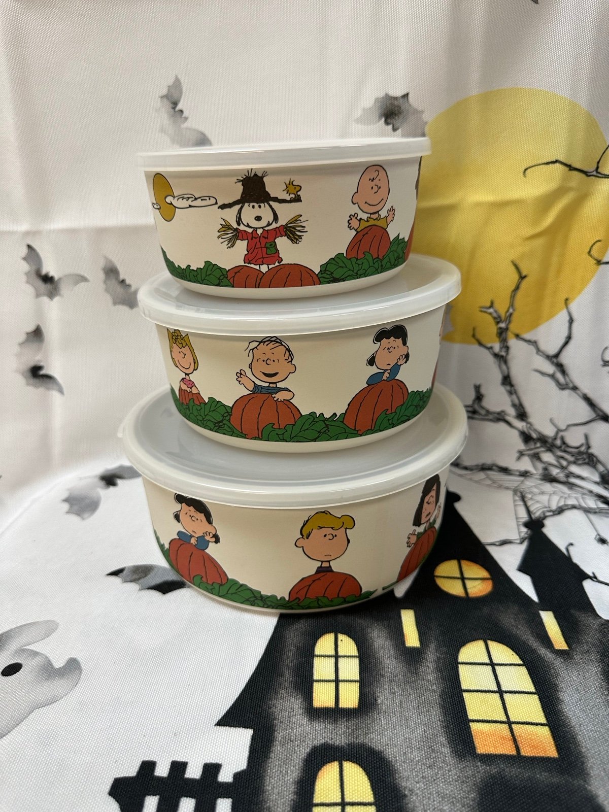 Peanuts Snoopy Thanksgiving Fall Food Storage Containers