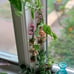 Micro wall hangings, mini pedestals and tree details