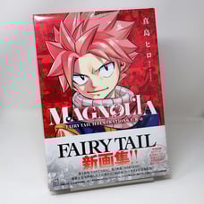 MAGNOLIA - Fairy Tail Anime Manga Illustrations 1+2+Alpha - Art Book