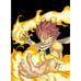 MAGNOLIA - Fairy Tail Anime Manga Illustrations 1+2+Alpha - Art Book