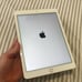 Apple iPad Air 2nd Generation 64 GB in Rose Gold