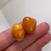 Vintage butterscotch amber clip on earrings