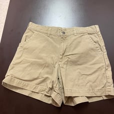 Shorts patagonia pants