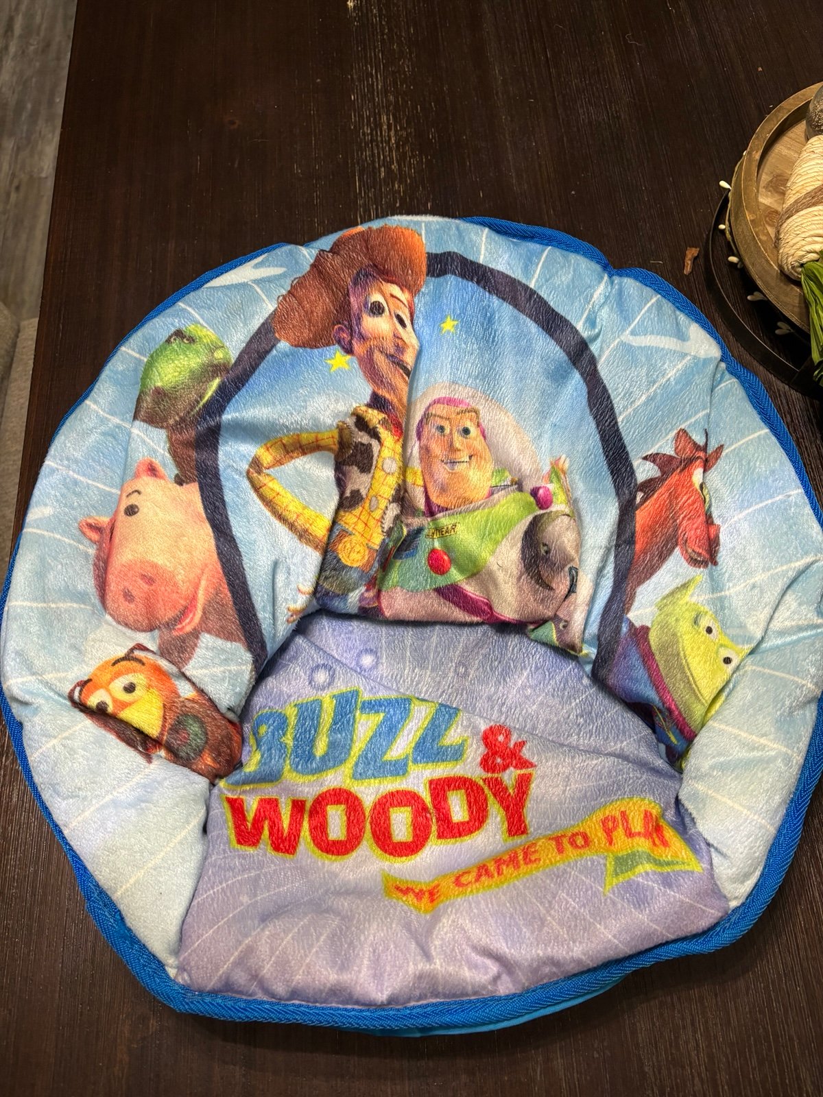 Toy Story saucer chair