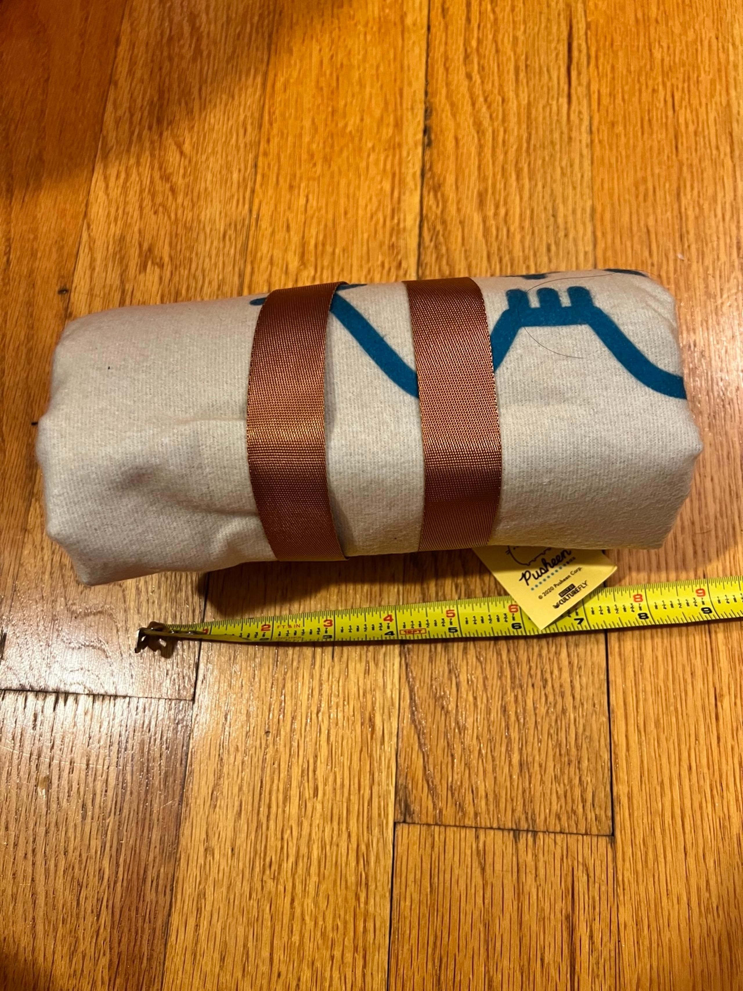 Pusheen picnic blanket
