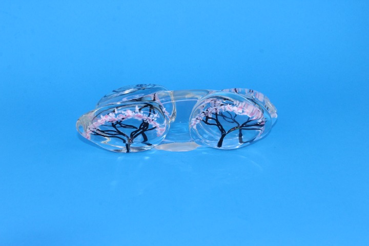 Thames Street Glass House Paper Weight