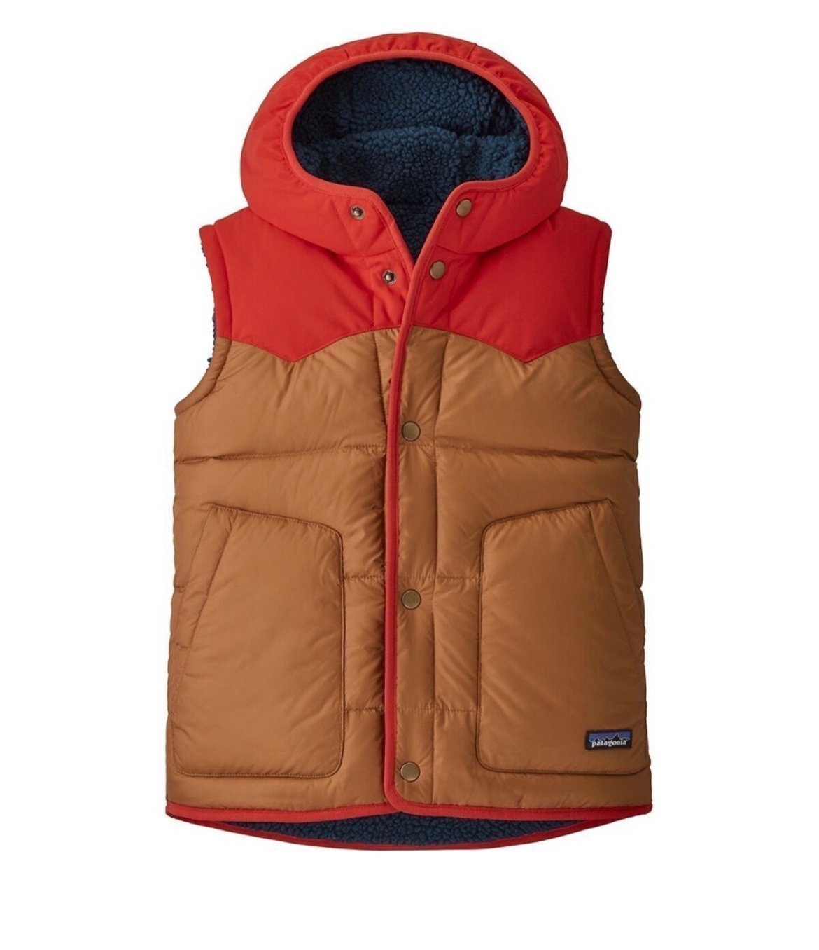 Patagonia Bivy Vest with Hood Reversible