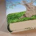 The Living Tree by Rabbi Shlomo Riskin (2014 Hardcover) NEW