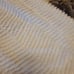 Naohs arc baby quilt
