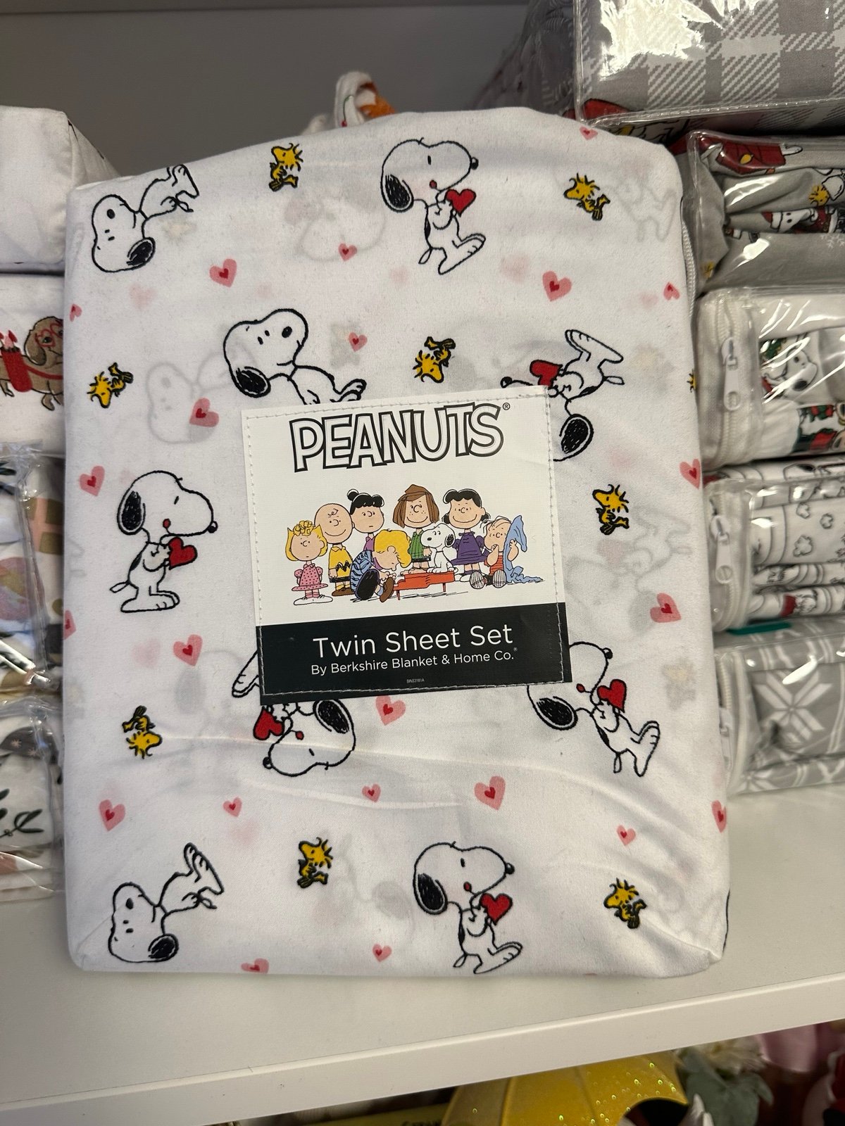 peanuts Snoopy Valentine Pink Hearts Vday Twin Sheet Set