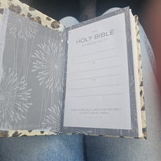 NIV BIBLE
