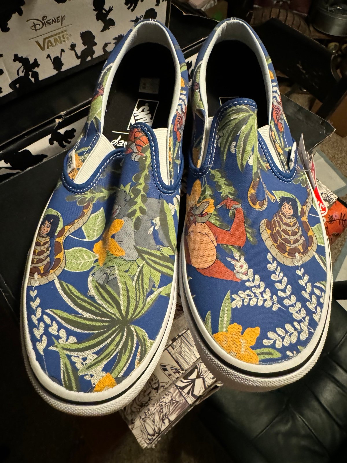 Vans Disney