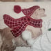 Pier 1 Christmas PARK AVENUE PUPPIES Dogs Embroidered Textured PILLOW w/ Zipper