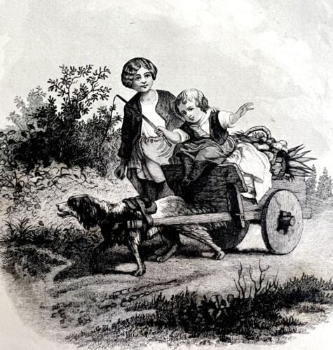 TheChildren With Dog Pulling Carriage Steel Engraving 1859 Victorian Farm Art DW