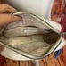 Kate Spade Kourtney rainbow stripe camera bag crossbody with tasssel gay pride