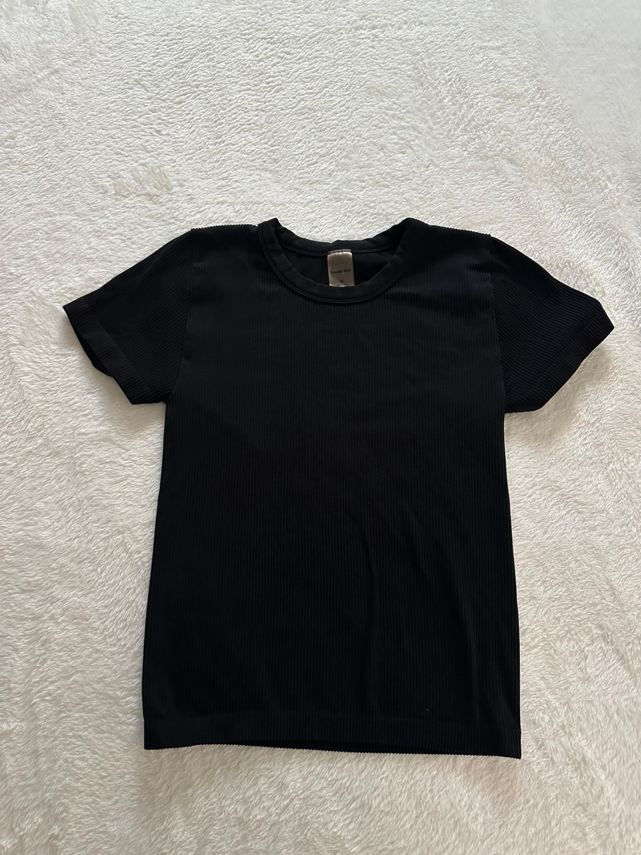 Aritzia Sunday Best Ribbed Tee