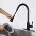 Stainless Steel Kitchen Faucet w/ Pull D