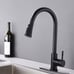 Stainless Steel Kitchen Faucet w/ Pull D