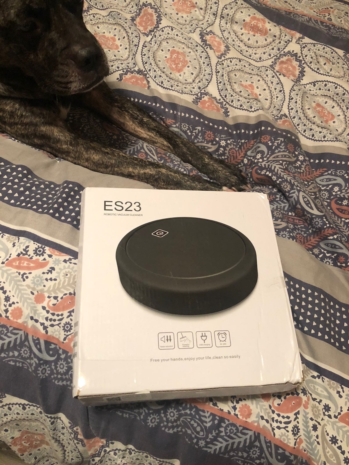 Robot vacuum