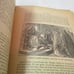 Antique Book Beautiful Bible Stories