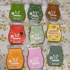 Scentsy bar bundle