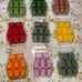 Scentsy bar bundle
