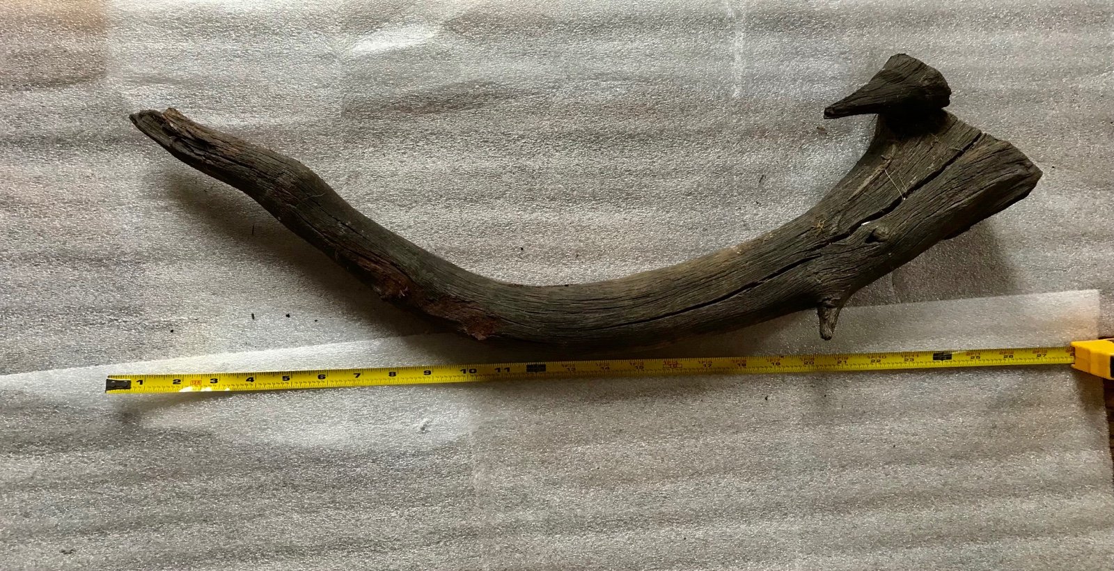 Old Growth Naturally Dried Tree Branch