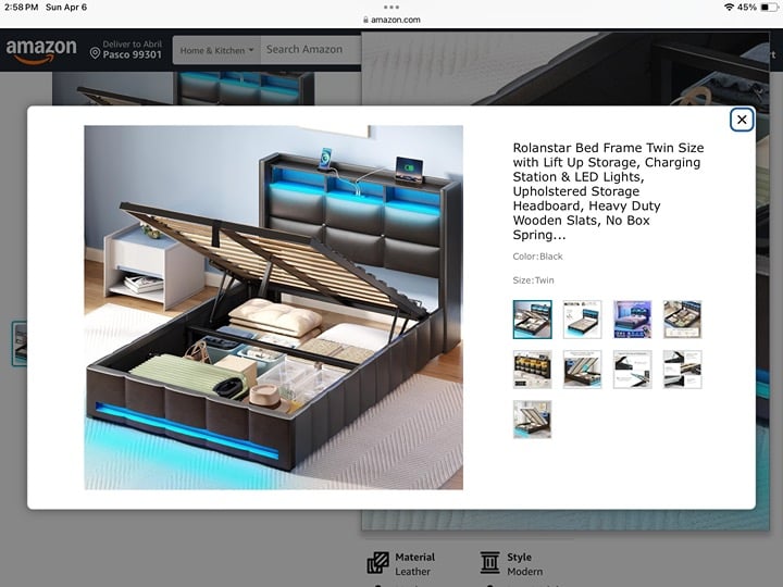 Rolanstar Bed Frame Twin Size with Lift Up Storage, Charging Station & LED Light