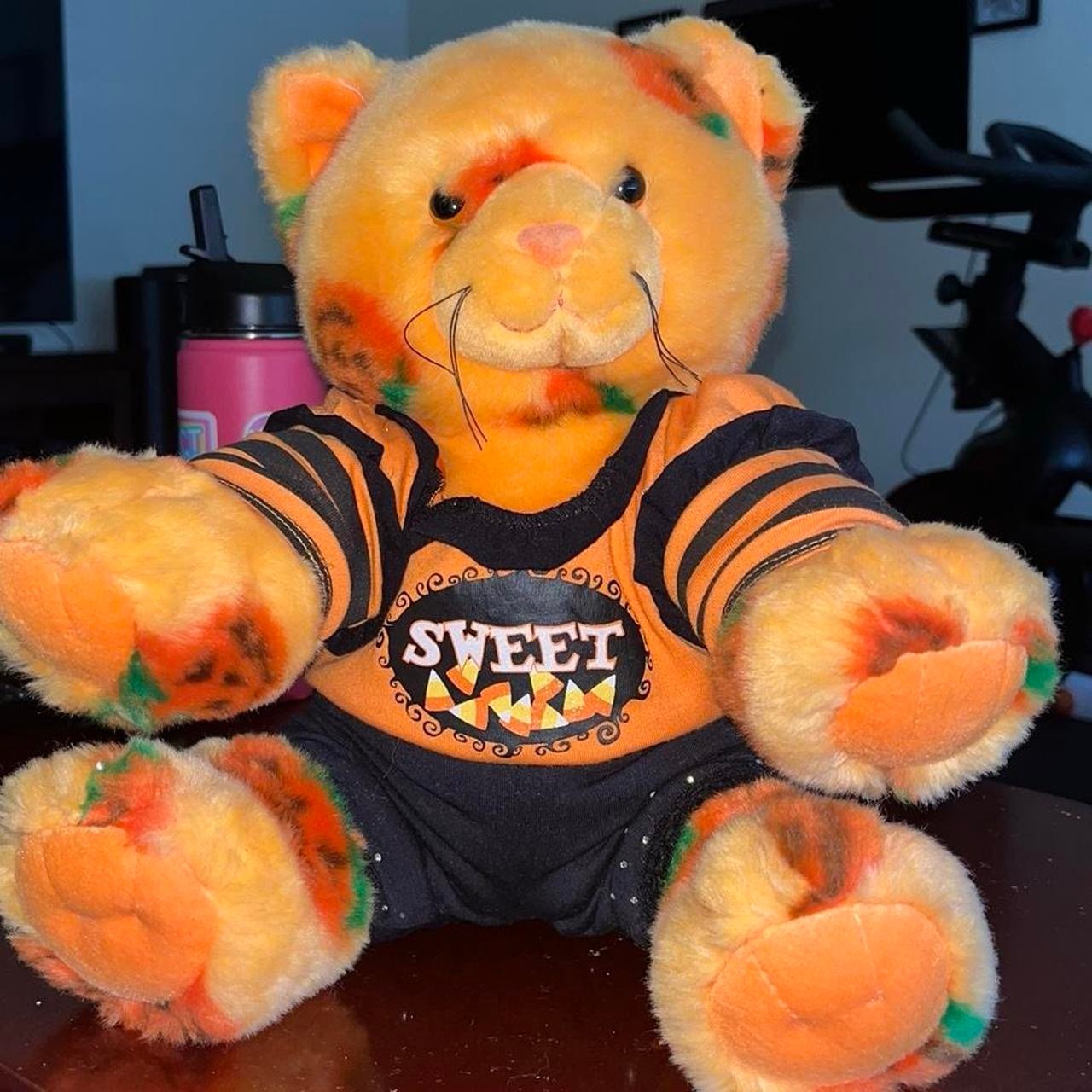 Build a bear pumpkin kitty Halloween stuffed animal