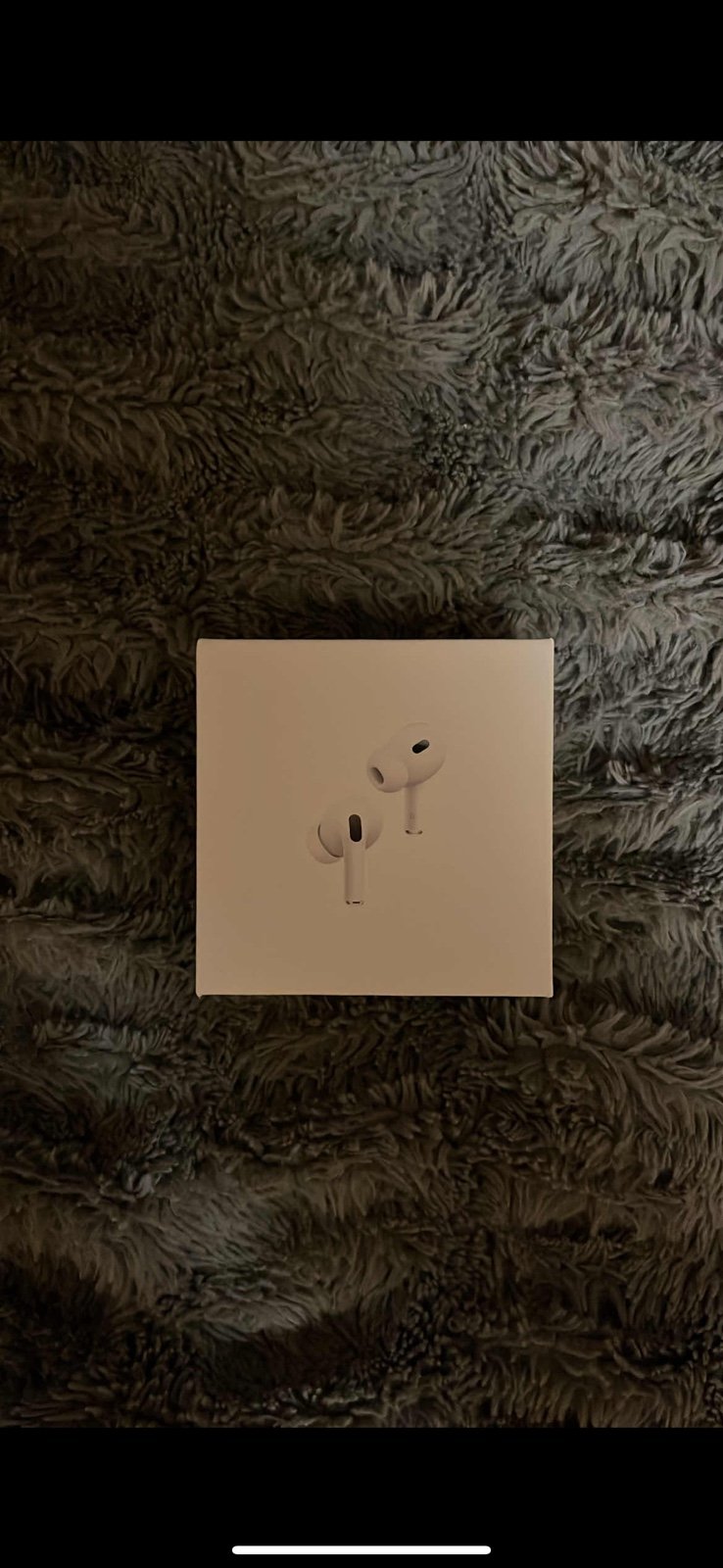 AirPod 2 pros (anc)