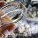 Stunning Quartz enhydro pendant