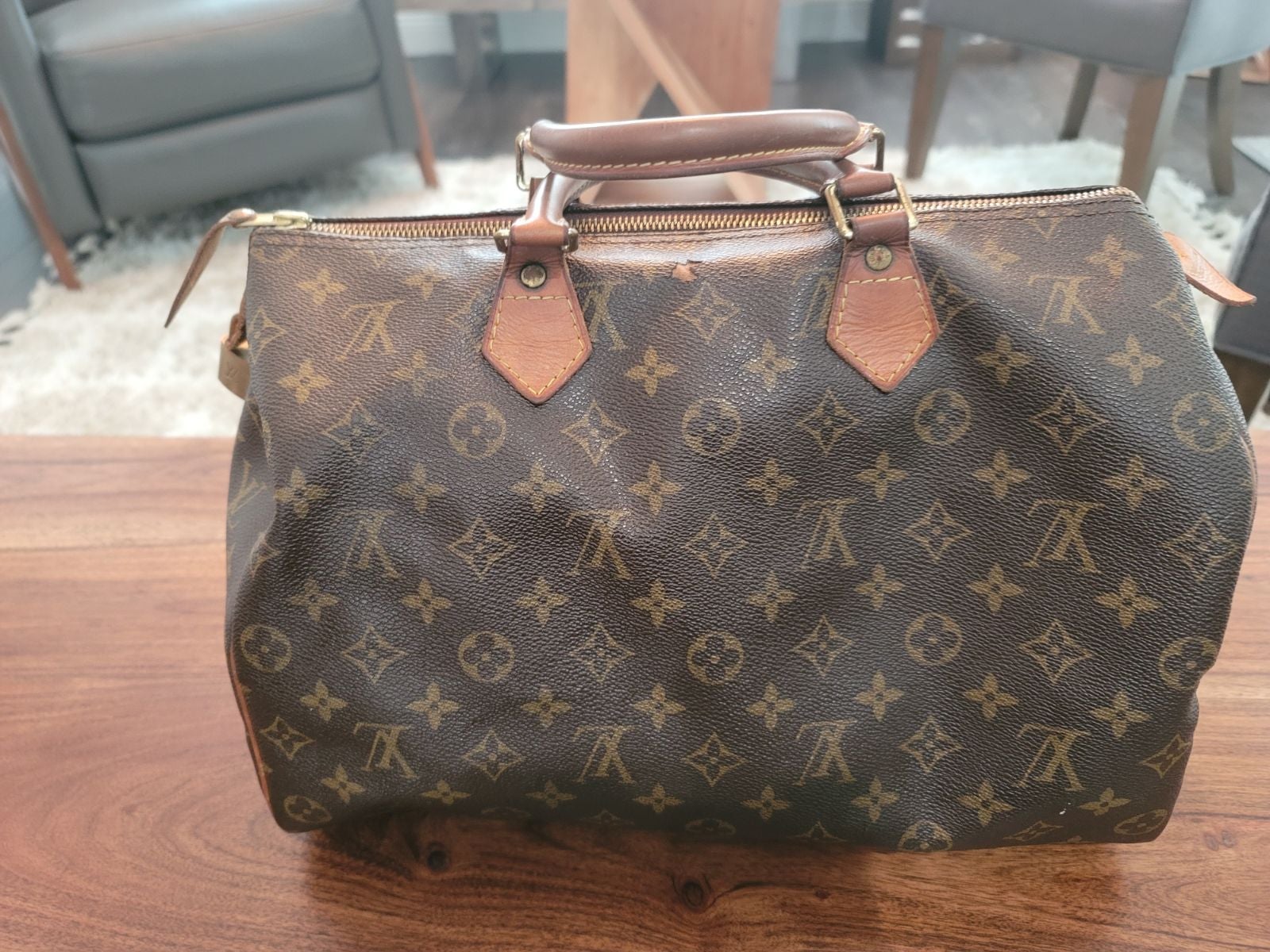 Louis Vuitton Speedy 30