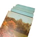 Greystone Press; New Illustrated Encyclopedia Of Gardening Unabridged • 14 Books