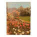 Greystone Press; New Illustrated Encyclopedia Of Gardening Unabridged • 14 Books
