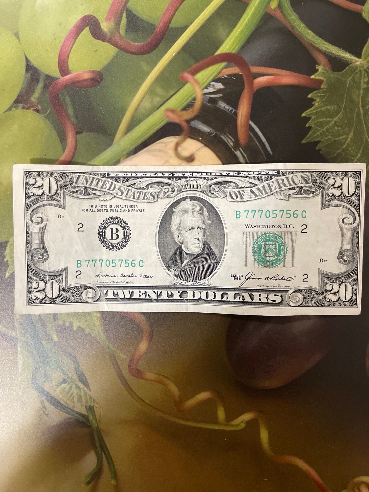 20 dollar bill