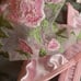 Dainty PINK Floral Lace Underwire Bra & Thong Panty Panties Set XL NWOT