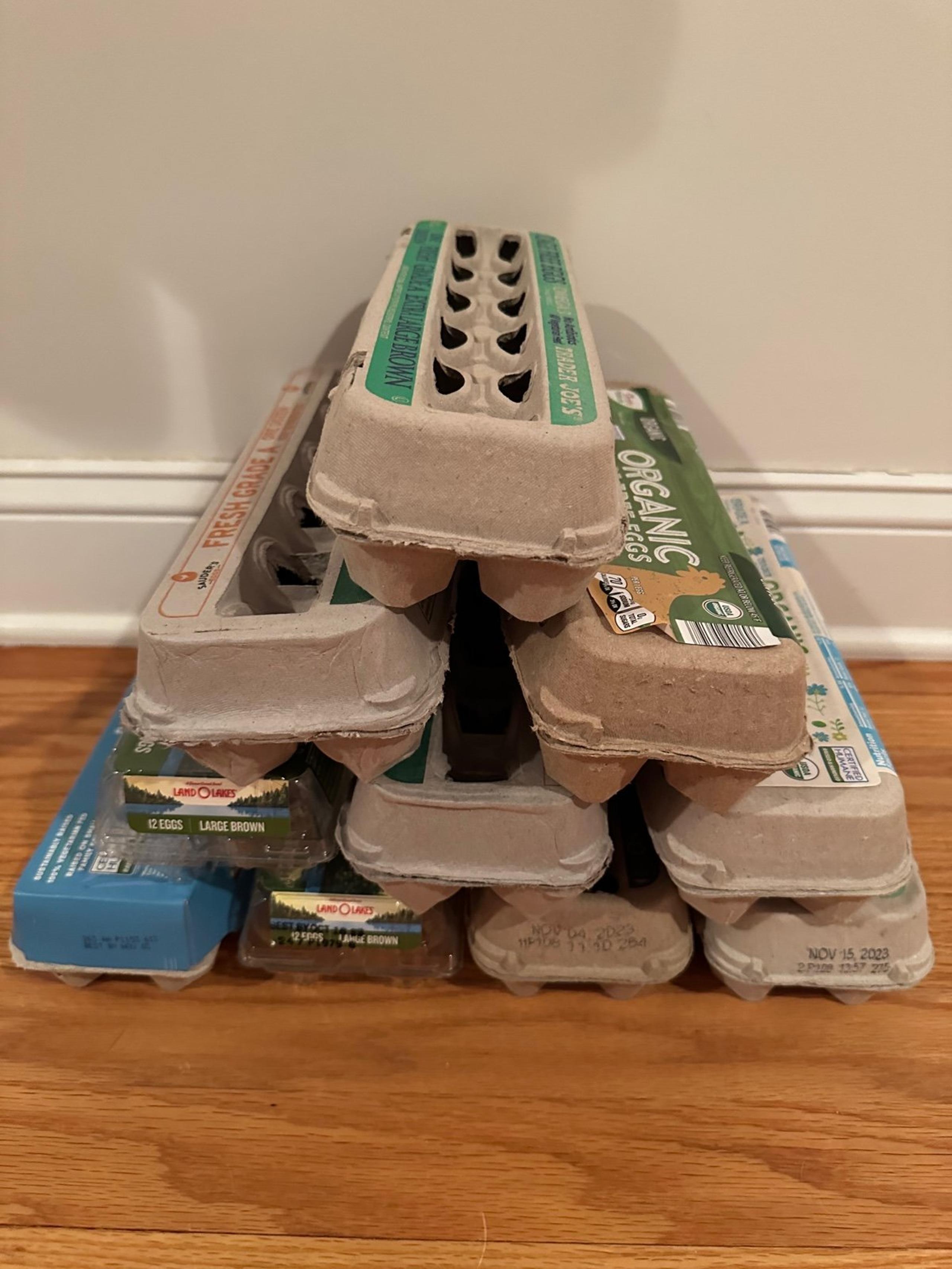 Lot of 10 empty egg cartons containers