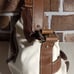 Vintage Chaps Positano White Hand Bag