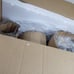 Home Decorators Bourland 3-Light Chrome Polished Semi-Flush Light 11x14 OPEN BOX