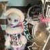 Monster High Abbey Bominable