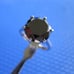 4.55ct 100% REAL NATURAL BLACK DIAMOND RING, CERTIFICATE,FR EE DIA TESTER Size 5