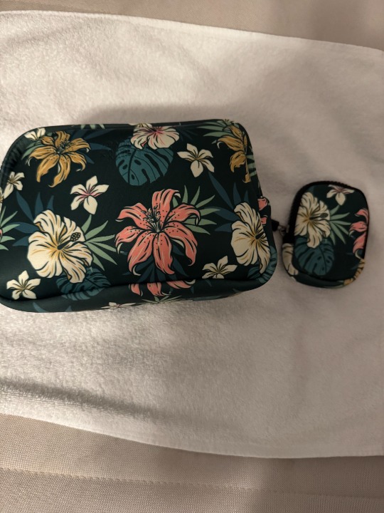 Rad Rev and Liondaflow Collab pouch and pod clip