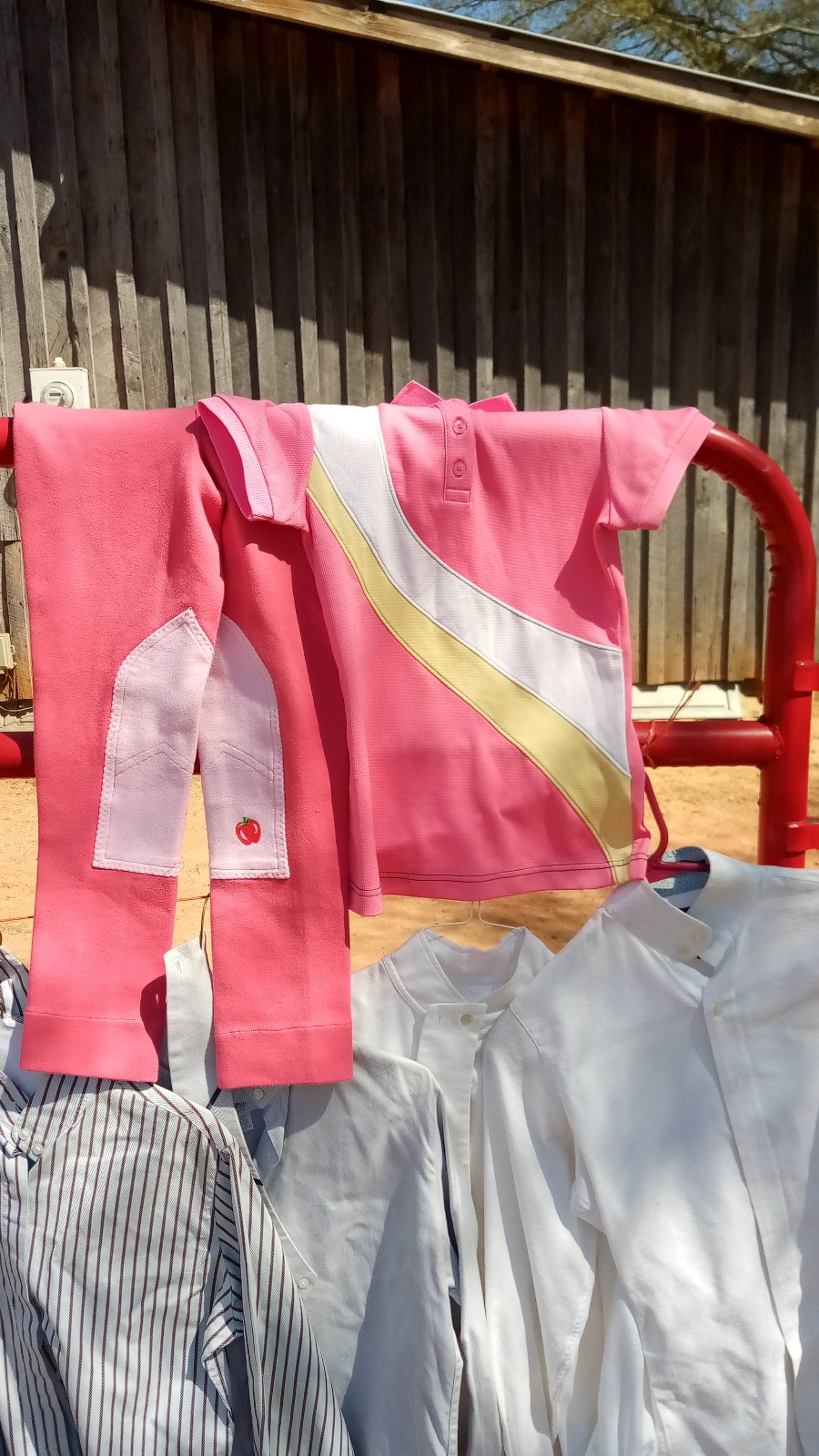 Girls size 12 riding breeches and girls medium polo shirt size medium