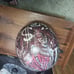 motorcycle helmet xl